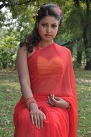 Mona Saree Photos